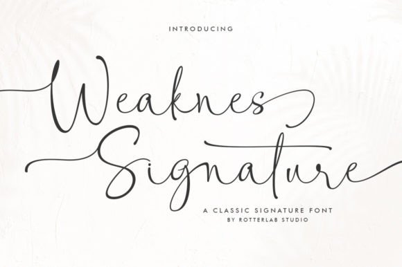 Weaknes Signature Font Review for Creative Projects